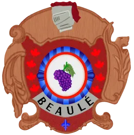Blason de la famille Beaulé